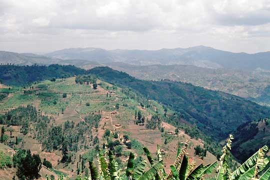 2006 ruanda-06.jpg